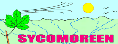 SYCOMOREEN