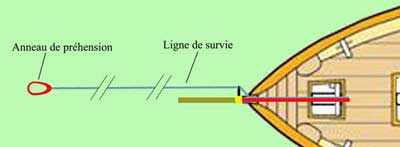 Verna_longe_de_survie_1