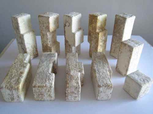 briques_de_mycelium_2015