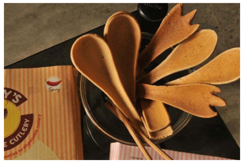 narayana_peesapaty_2016