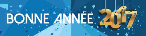 bonne_annee_2017