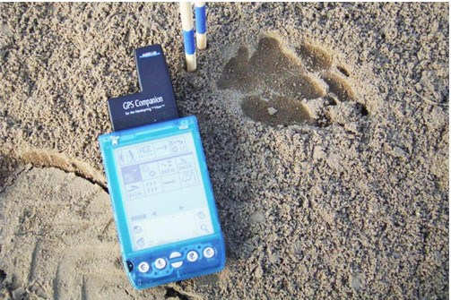 Louis_Stevenson_Liebenberg_Lindsay_2017